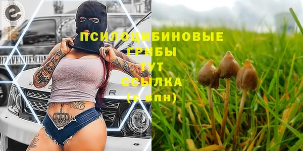мяу мяу мука Балахна