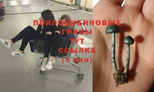 мяу мяу мука Балахна